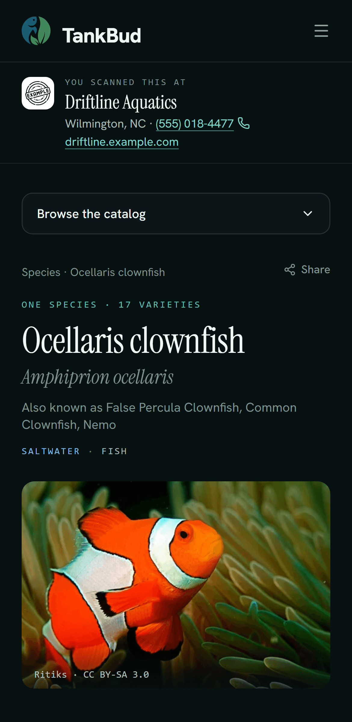 The ocellaris clownfish care guide on a phone after a scan, with Driftline Aquatics named where the retailers were.
