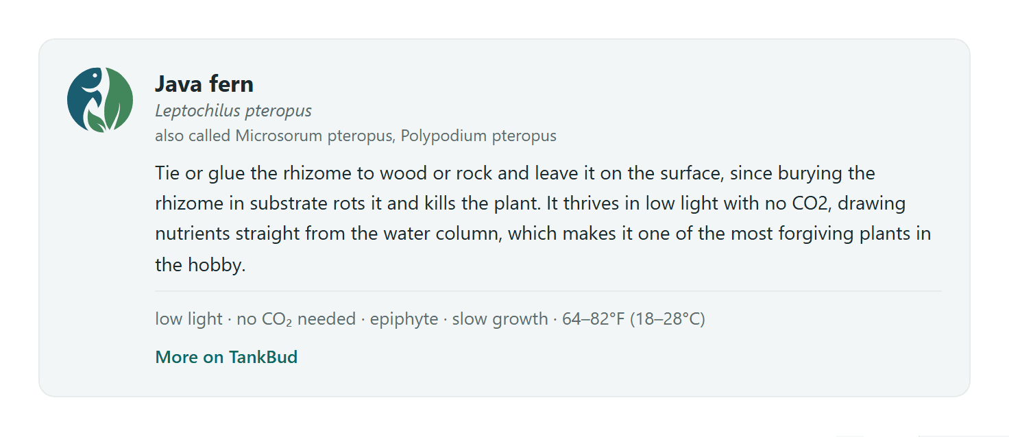 A TankBud java fern card with alternate names, a blurb, an inline facts line and a link