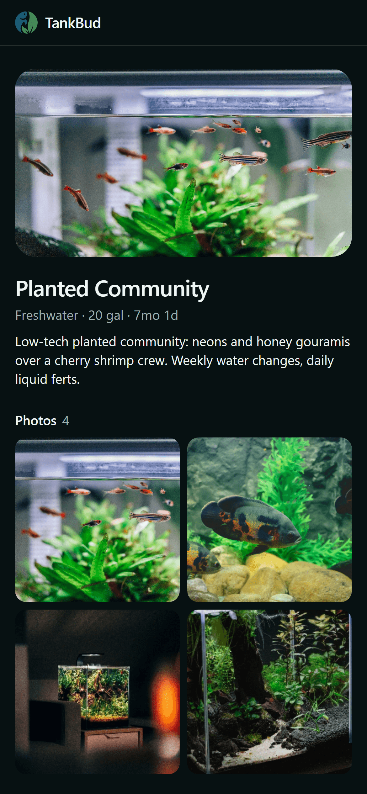A shared TankBud tank page on a phone