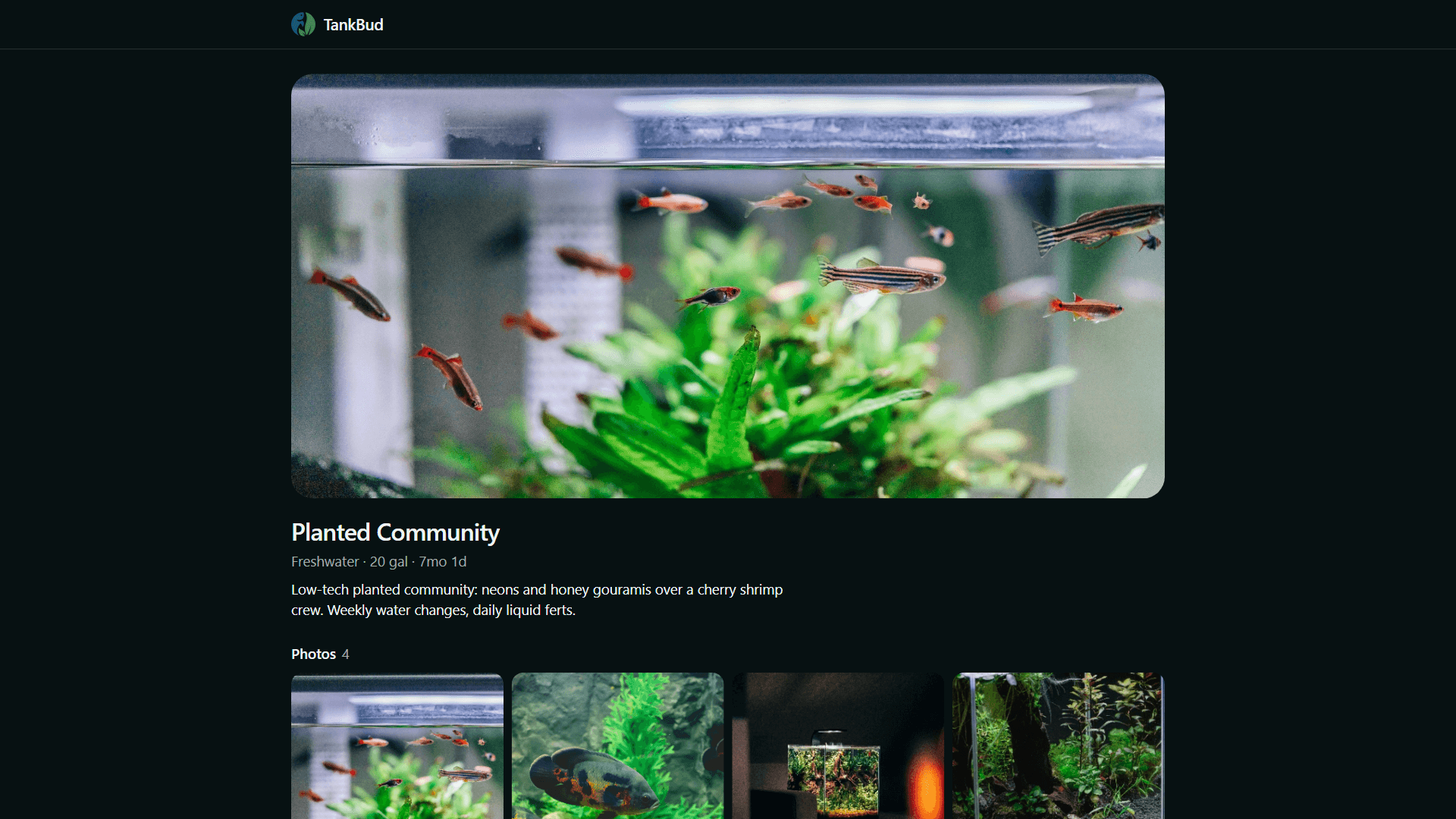 A shared TankBud tank page