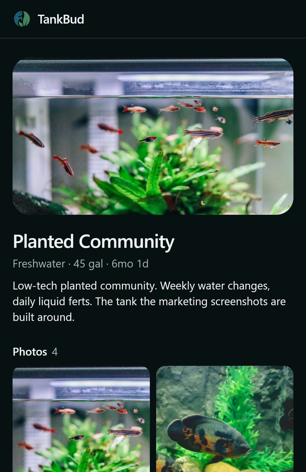 Shared tank guest page: photo, livestock, and plants for a planted community tank.